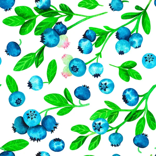 Blueberries Seamless Pattern Watercolor Vintage Illustration Isolated White Background Your — Stock Photo, Image