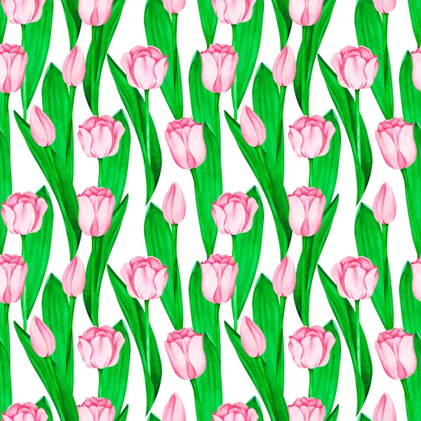 Tulipani rosa modello senza cuciture. Illustrazione vintage ad acquerello. Isolato su sfondo bianco. — Foto Stock