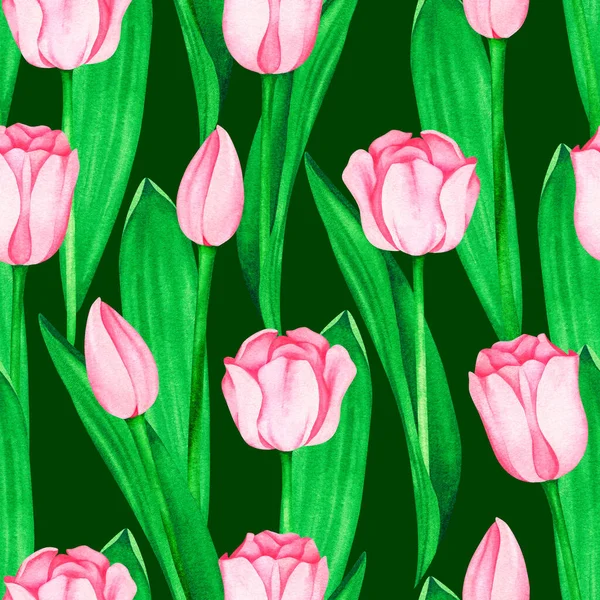 핑크 튤립 물갈퀴없는 패턴이야. 수채 색 빈티지 삽화. 어두운 녹색 배경에 고립되다. — 스톡 사진