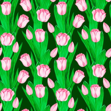 Pembe laleler pürüzsüz desen. Suluboya vintage çizim. Koyu yeşil bir arkaplanda izole edilmiş..