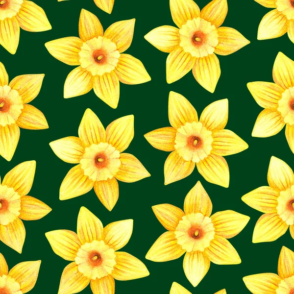 Nergislerin kusursuz deseni. Suluboya vintage çizim. Koyu yeşil bir arkaplanda izole edilmiş..