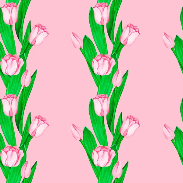 Patrón sin costuras tulipanes rosados. Ilustración vintage acuarela. Aislado sobre un fondo rosa. — Foto de Stock
