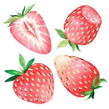 Çilekli. Suluboya çizimi. Beyaz bir arka planda izole edilmiş. Tasarımın için..