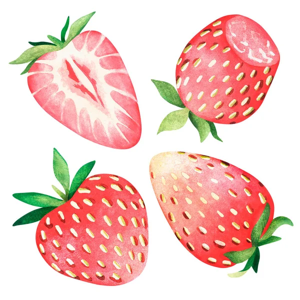 Aardbei. Aquarelillustratie. Geïsoleerd op witte achtergrond. Voor uw ontwerp. — Stockfoto