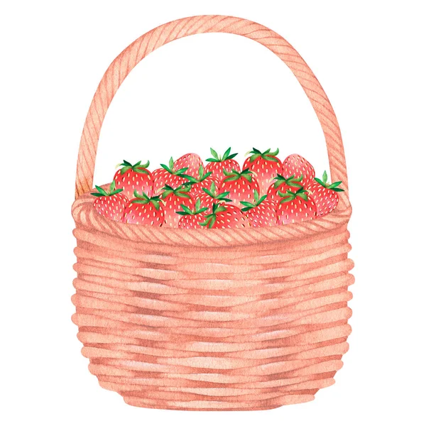 Ein Weidenkorb mit Erdbeeren. Aquarell Vintage Illustration. Isoliert auf weißem Hintergrund. — Stockfoto