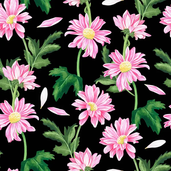 Seamless pattern of chrysanthemums. Watercolor vintage illustration. Isolated on a black background. — Foto Stock