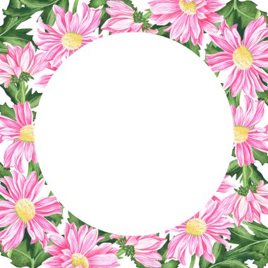 Kasımpatı çerçevesi. Suluboya vintage çizim. Beyaz bir arka planda izole edilmiş. Tasarımın için.