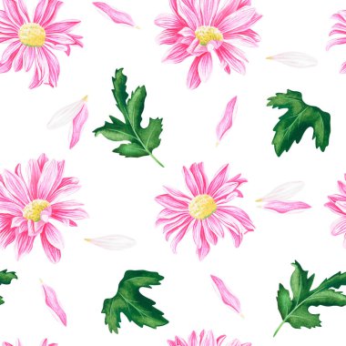 Kusursuz kasımpatı deseni. Suluboya vintage çizim. Beyaz bir arkaplanda izole edilmiş.