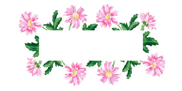 Marco de crisantemo. Ilustración vintage acuarela. Aislado sobre un fondo blanco.Para su diseño — Foto de Stock