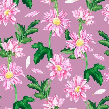 Kusursuz kasımpatı deseni. Suluboya vintage çizim. Pembe arka planda izole edilmiş..