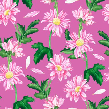 Kusursuz kasımpatı deseni. Suluboya vintage çizim. Pembe arka planda izole edilmiş..