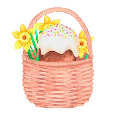 Bir sepet nergis ve paskalya pastası. Suluboya çizimi. Beyaz bir arkaplanda izole edilmiş.