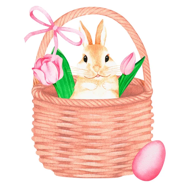 Bir sepet lale ve tavşan. Suluboya vintage illüstrasyon. Beyaz bir arkaplanda izole edilmiş. Tasarım için.