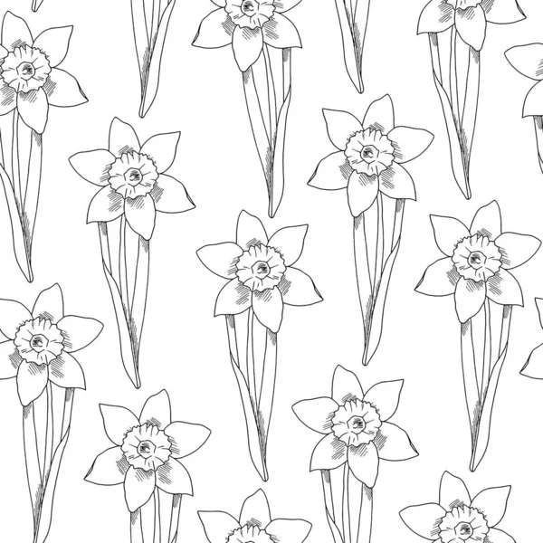 Daffodils lijn kunst. Naadloos patroon. Aquarel Pasen illustratie.Geïsoleerd op een witte achtergrond. — Stockfoto