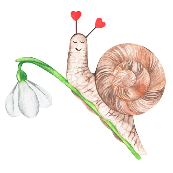 A snail on a snowdrop flower. Watercolor illustration. Isolated on a white background. For design. — Stock Photo, Image