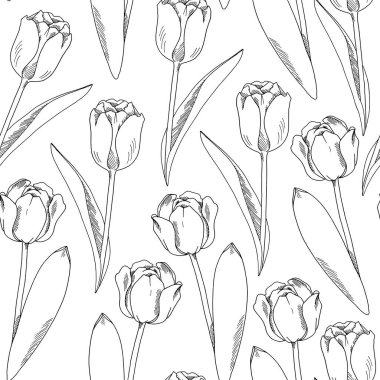 Lale çizgisi sanatı. Kusursuz desen. Suluboya Paskalya çizimi. Beyaz arka planda izole edilmiş..