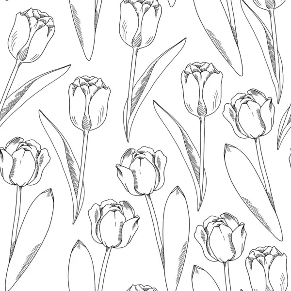 Tulpen lijn kunst. Naadloos patroon. Aquarel Pasen illustratie.Geïsoleerd op een witte achtergrond. — Stockfoto