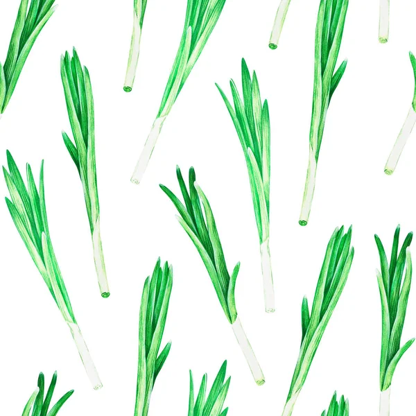 Зеленый Лук Бесшовный Акварель Изолированный Белом Фоне Поваренных Книг Рецептов — стоковое фото