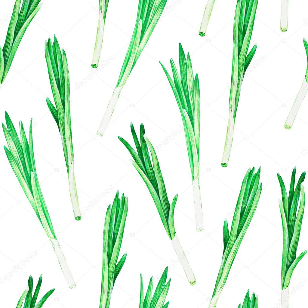 Seamless Pattern Green onions. Watercolor illustration. Isolated on a white background. For cookbooks, recipes, aprons, kitchen accessories, spice packs, wallpaper, background for the inscription.