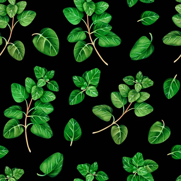 Patrón inconsútil de Oregano. Ilustración de acuarela.Aislado sobre fondo negro.Para su diseño. — Foto de Stock