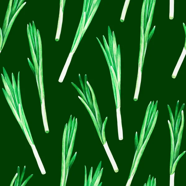 Kusursuz desenli yeşil soğan. Suluboya çizimi. Yeşil bir arka planda izole edilmiş. Tasarım için.
