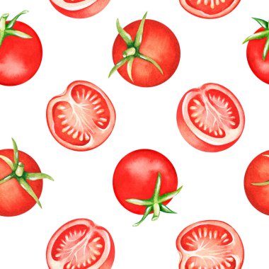 Domates. Suluboya çizimi. Beyaz bir arka planda izole edilmiş. Tasarım için.