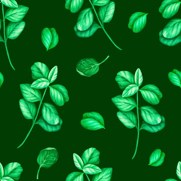 Nahtloser Musterspinat. Aquarell-Illustration. Vereinzelt auf grünem Hintergrund. Für Ihr Design. Stockfoto