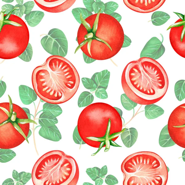 Schema senza soluzione di continuità. Pomodori e origano. Illustrazione ad acquerello. Isolato su sfondo bianco. Immagine Stock