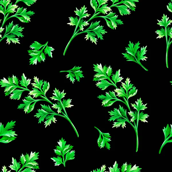 Modello senza cuciture cilantro. Illustrazione ad acquerello. Isolato su uno sfondo nero. Per il tuo design. — Foto Stock