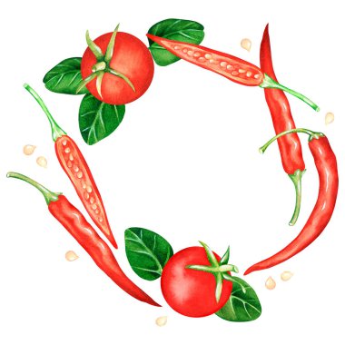 Domates, acı biber ve kekik çelengi. Suluboya çizimi. Beyaz bir arkaplanda izole edilmiş.