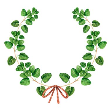 Oregano çelengi ve ipten yapılmış bir fiyonk. Suluboya vintage çizim. Beyaz bir arka planda izole edilmiş. Tasarımın için. Yemek kitapları, tarifler, önlükler, mutfak aksesuarları, baharat paketleri için elverişli.