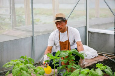 Organik bahçedeki çiftçinin portresi