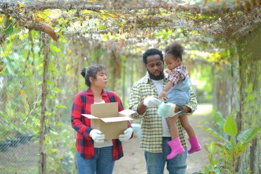 Kızıyla birlikte organik çiftlikte vakit geçiren melez bir aile. Afro-Amerikan ailesi.