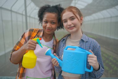 Bir grup genç insan organik çiftlikteki tarlalarda faaliyet gösteriyor..