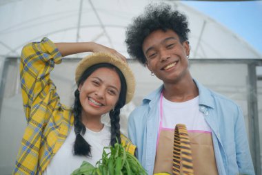 Bir grup genç insan organik çiftlikteki tarlalarda faaliyet gösteriyor..
