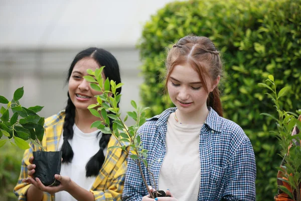 Vielfalt Teenager Freunde Freundschaftsteam Konzept Freiwillige Pflanzen Gemeinsam Einen Baum — Stockfoto