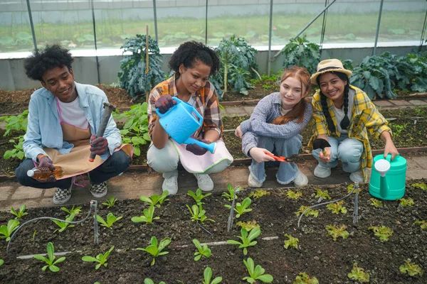 Diversity Teenagers Friends Friendship Team Concept, Volunteers planting a tree together.