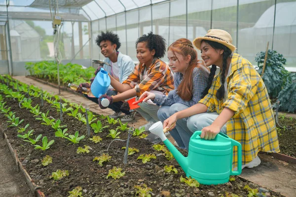 Diversity Teenagers Friends Friendship Team Concept, Volunteers planting a tree together.