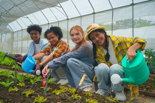 Vielfalt Teenager Freunde Freundschaftsteam Konzept Freiwillige Pflanzen Gemeinsam Einen Baum — Stockfoto