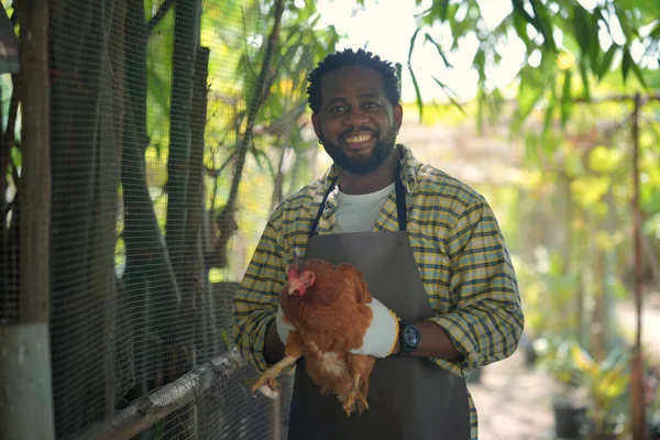 Agronomist farmer quality inspector holding hen