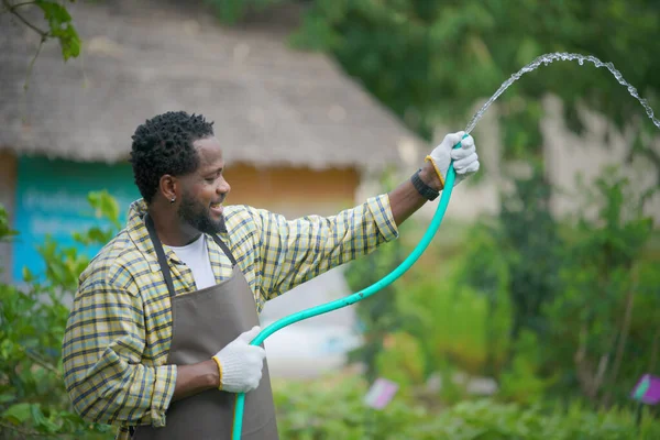 Agronomist farmer quality inspector holding are collecting data in greenhouse checking quality of vegetables in organic farm. Smart farming, modern agriculture. Local organic food Business