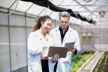 Agronomist çiftçi kalite müfettişi organik çiftlikte sebze kalitesini kontrol etmek için serada veri topluyor. Akıllı çiftçilik, modern tarım. Yerel organik gıda işi. Dijital tabletli organik tarım üreticisinin portresi 