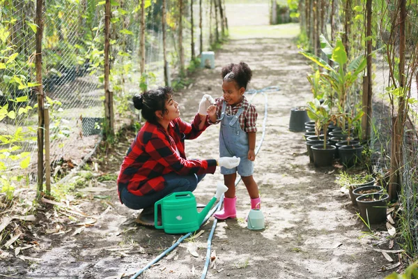 Agronomist farmer quality inspector holding are collecting data in greenhouse checking quality of vegetables in organic farm. Smart farming, modern agriculture. Local organic food Business. Portrait of organic farm producer with digital tablet