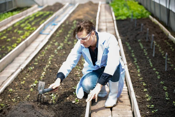 Agronom Landwirt Qualitätsprüfer Betriebe Sammeln Daten Gewächshäusern Überprüfen Die Qualität — Stockfoto