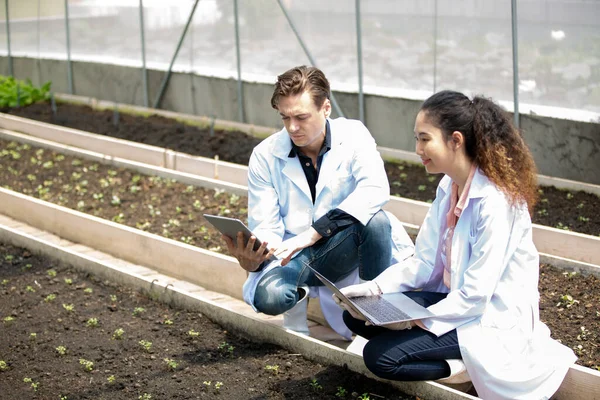 Agronomist farmer quality inspector holding are collecting data in greenhouse checking quality of vegetables in organic farm. Smart farming, modern agriculture.Local organic food Business. Portrait of organic farm producer with digital tablet