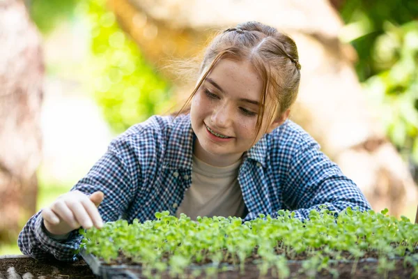Junges Mädchen Genießt Aktivität Plantage Auf Biobauernhof — Stockfoto