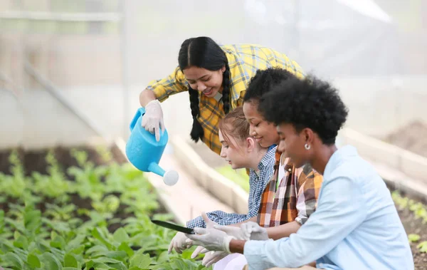 Fiatal Változatos Emberek Csoportja Élvezi Biogazdaságban Végzett Ültetési Tevékenységet — Stock Fotó