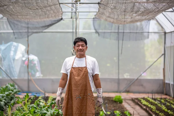 Organik çiftlikte tarım yapan çiftçi..