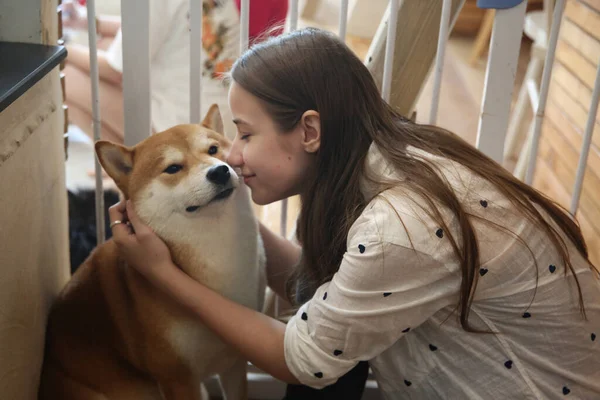 Ragazza Suo Cane — Foto Stock