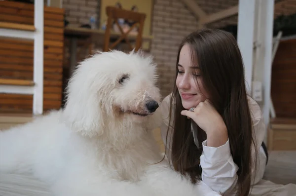 Ragazza Suo Cane — Foto Stock